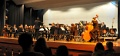 DSA_1923_DxO_crop