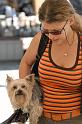 ASC_2680_dxo