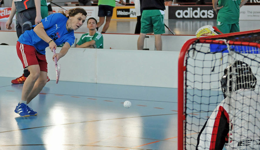 0893_BSC_3857_dx5_crop.jpg - (C)Richard de Stoutz