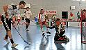 0969_BSC_3991_dx5_crop