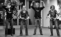 DSA_4389_DxO_crop