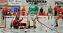 012_D3C_0121_crop