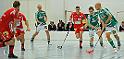016_D3C_0141_crop
