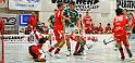 044_BSC_5872_crop