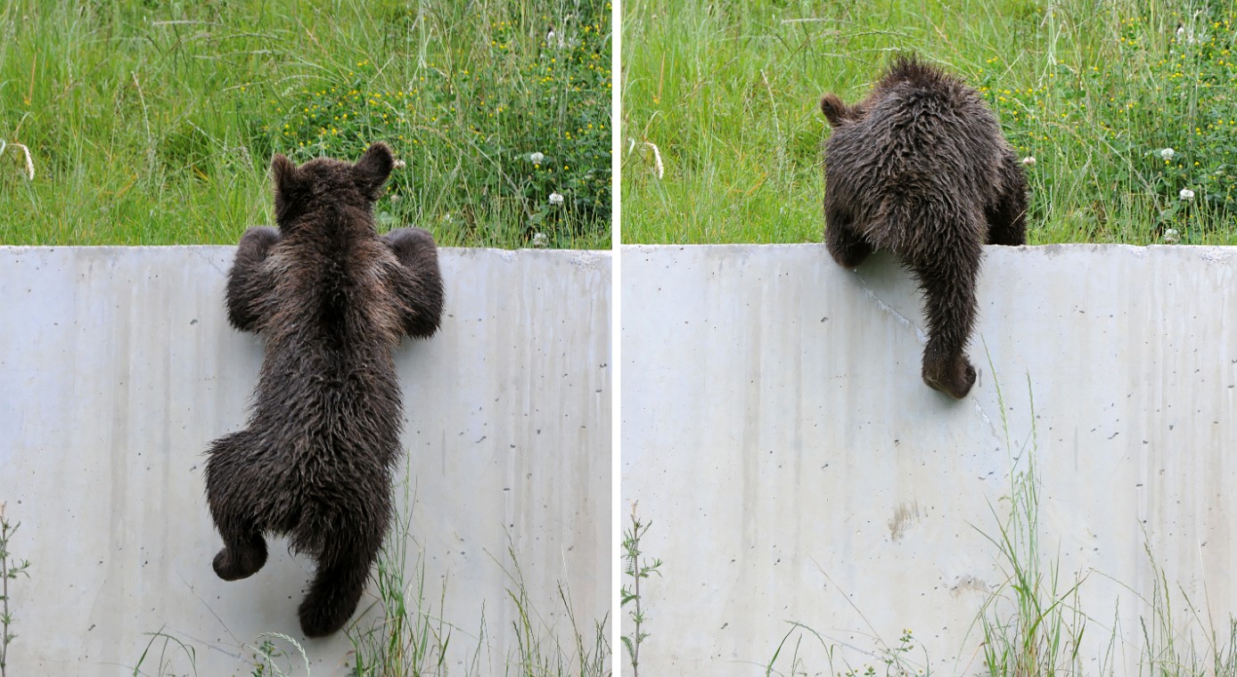 DSA_9978_und_9979_DxO_crop.jpg - Foto Richard de Stoutz, CH-3600 Thun