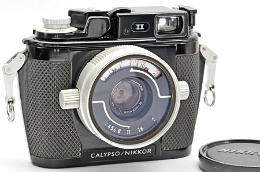 Copyright © Richard de Stoutz 2010.