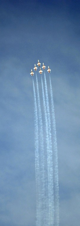DSC_4265_crop.jpg