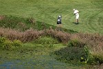 A_DSC_4766_dxo_crop