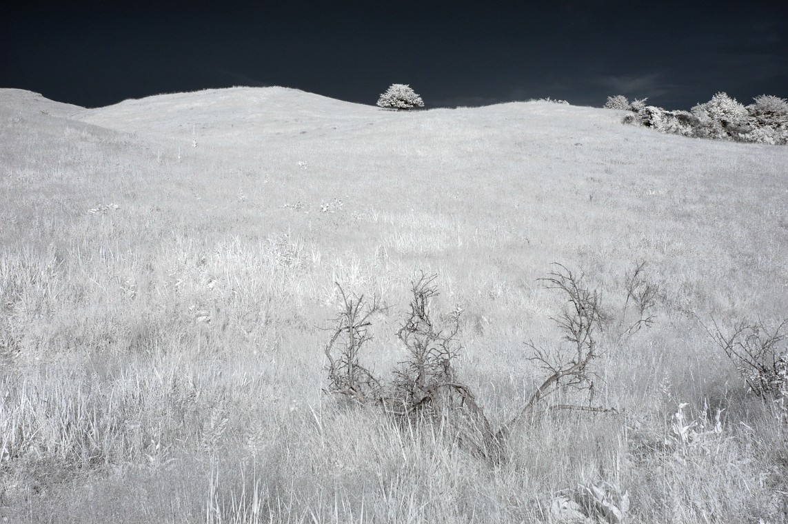 2013-07-07_17-35-11_DSC_0510_DxO_pse.jpg - (C)Copyright Photo Richard de Stoutz