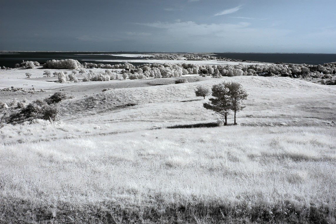 2013-07-07_17-45-52_DSC_0518_DxO_pse.jpg - (C)Copyright Photo Richard de Stoutz