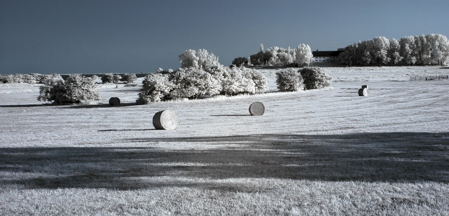 2013-07-07_19-31-39_DSC_0575_DxO_pse.jpg - (C)Copyright Photo Richard de Stoutz