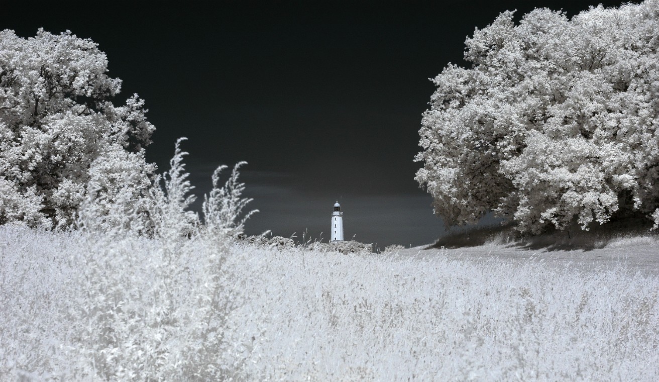 2013-07-08_12-54-40_DSC_0607_DxO_pse.jpg - (C)Copyright Photo Richard de Stoutz