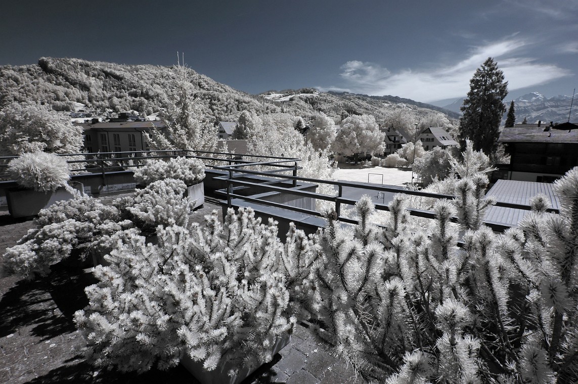 DSC_0007_dxo_korr.jpg - (C)Copyright Photo Richard de Stoutz