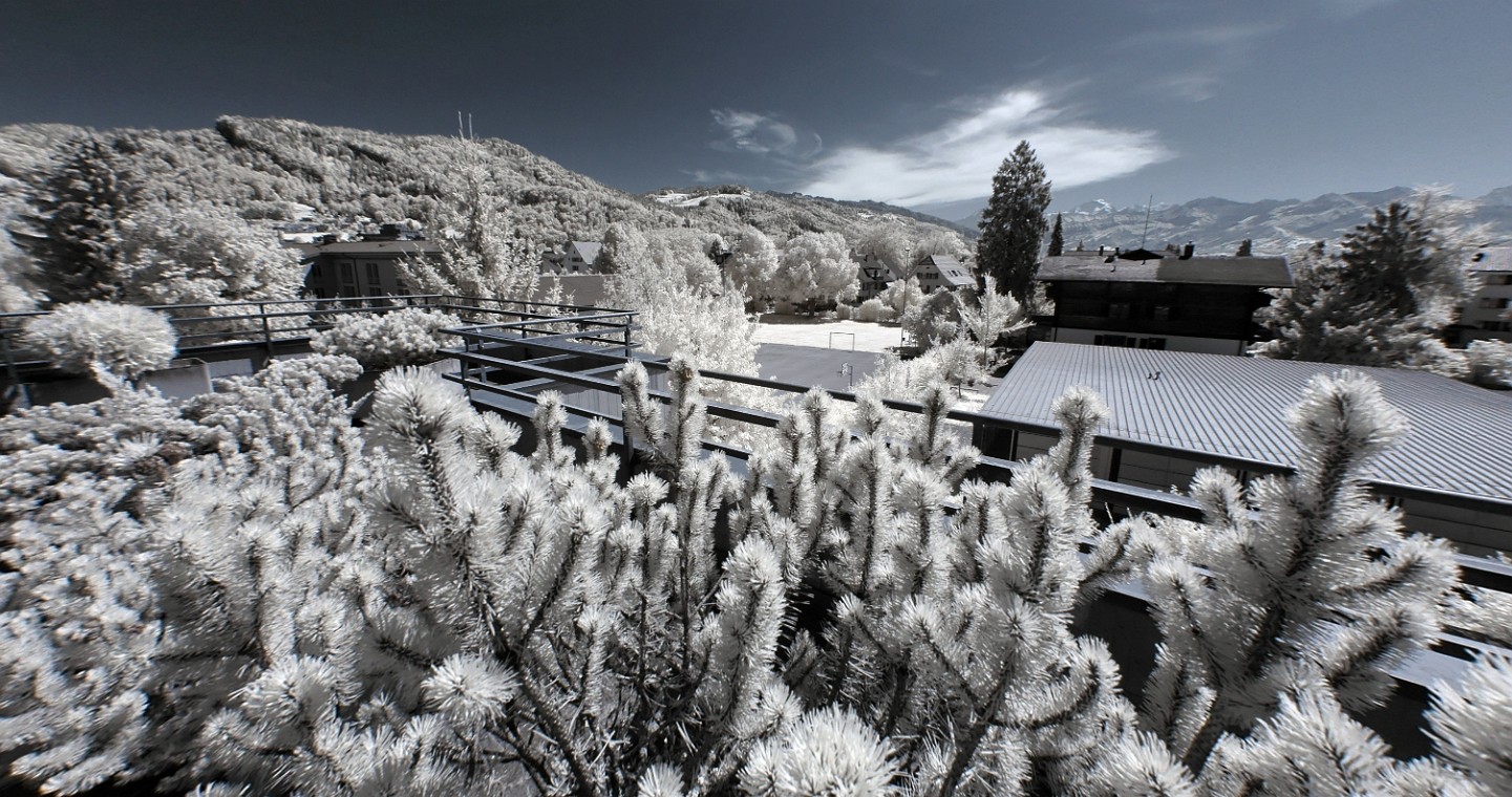 DSC_0015_dxo_korr_crop.jpg - (C)Copyright Photo Richard de Stoutz