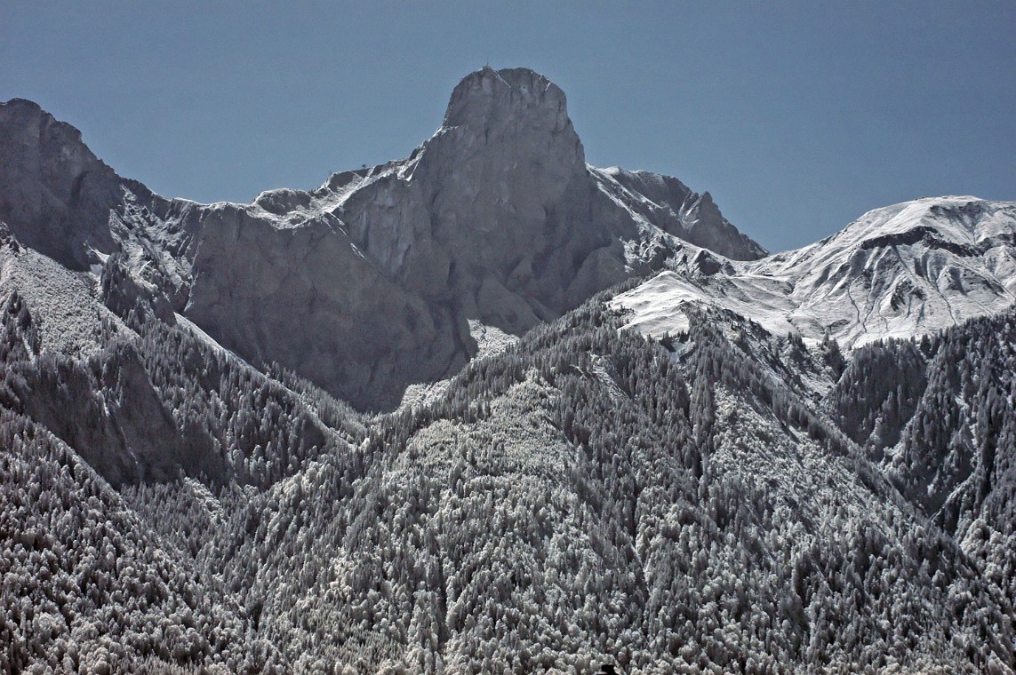 DSC_0059_dxo_korr.jpg - (C)Copyright Photo Richard de Stoutz