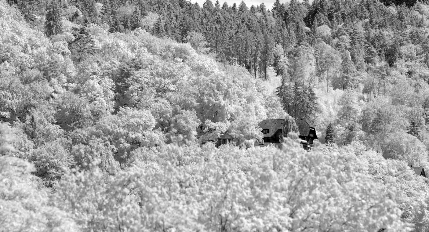 DSC_0060_dxo_korr_crop.jpg - (C)Copyright Photo Richard de Stoutz