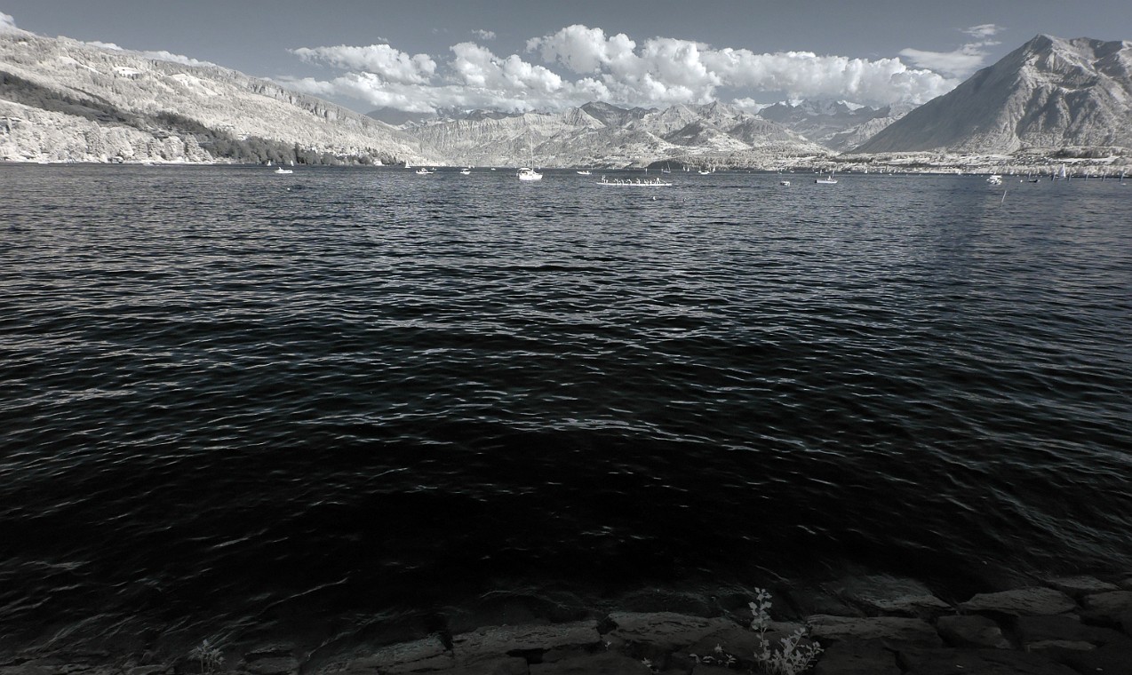 DSC_0076_dxo_korr_crop.jpg - (C)Copyright Photo Richard de Stoutz