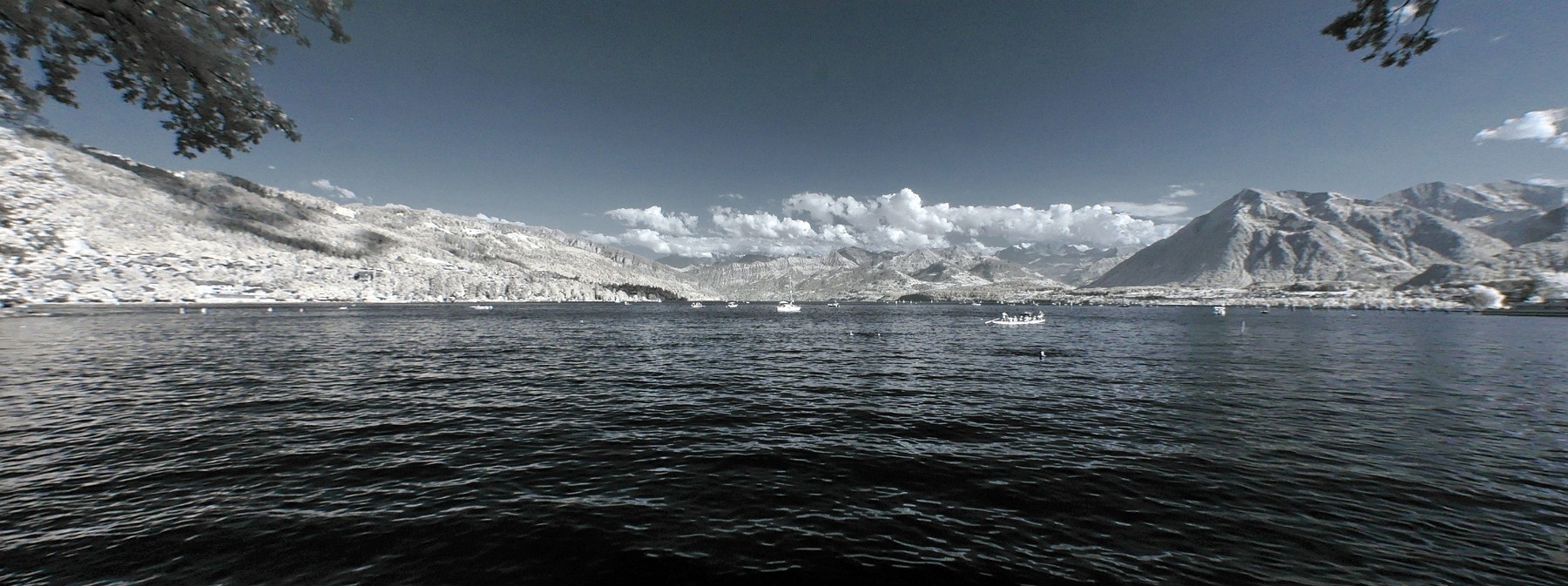 DSC_0079_dxo_korr_crop.jpg - (C)Copyright Photo Richard de Stoutz