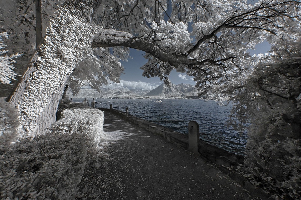 DSC_0084_dxo_crop.jpg - (C)Copyright Photo Richard de Stoutz