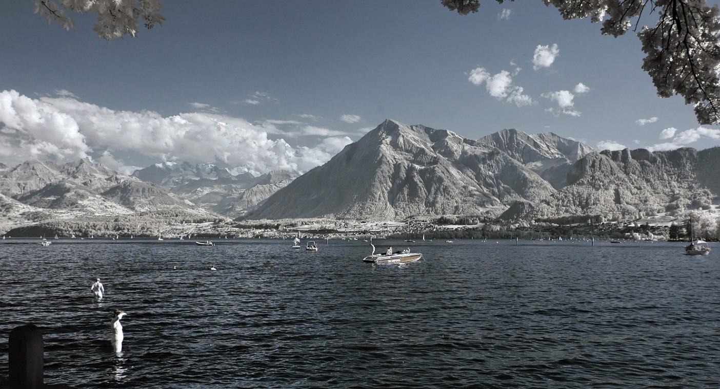 DSC_0088_dxo_korr_crop.jpg - (C)Copyright Photo Richard de Stoutz