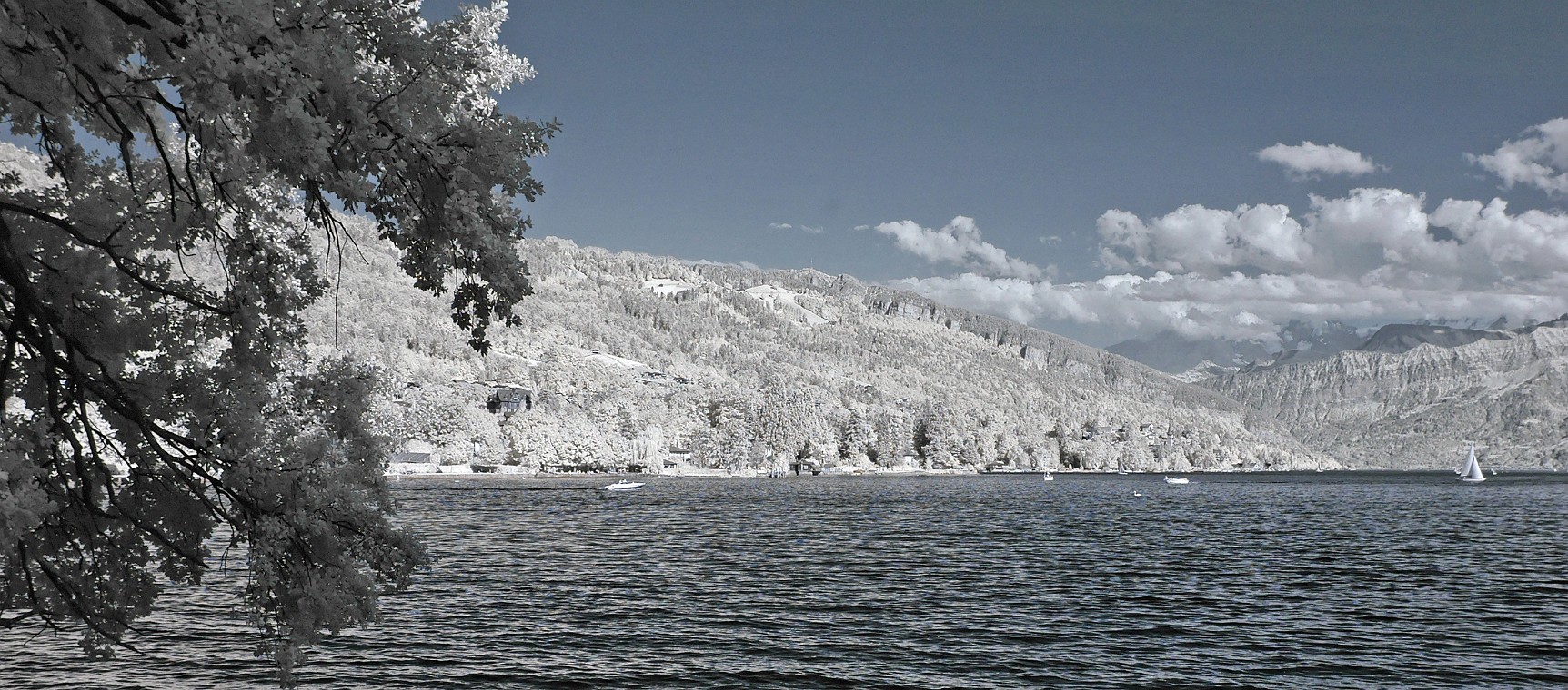 DSC_0091_dxo_korr_crop.jpg - (C)Copyright Photo Richard de Stoutz