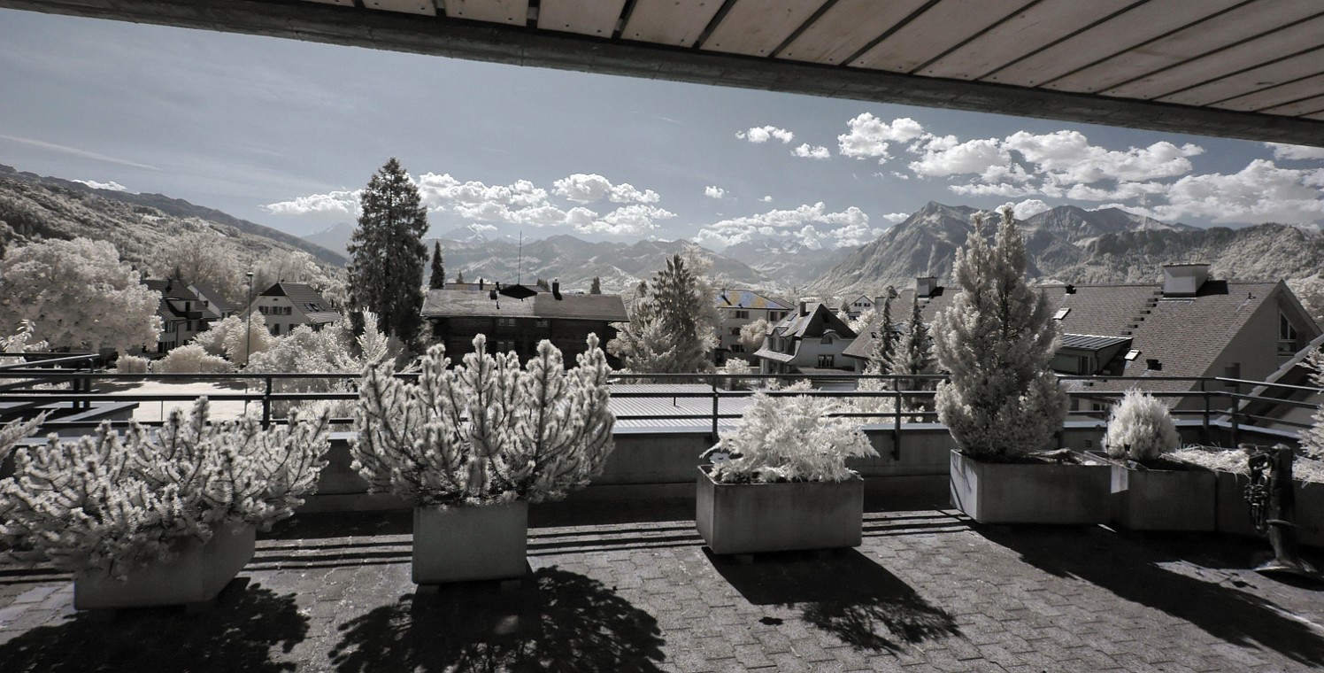 DSC_0129_dxo_korr_crop.jpg - (C)Copyright Photo Richard de Stoutz