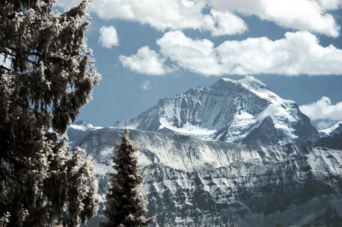 DSC_0137_dxo_korr.jpg - (C)Copyright Photo Richard de Stoutz