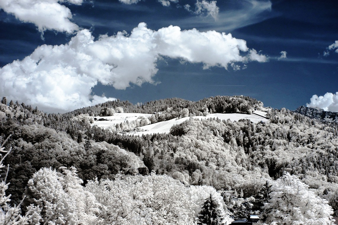 DSC_0138_dxo_korr.jpg - (C)Copyright Photo Richard de Stoutz