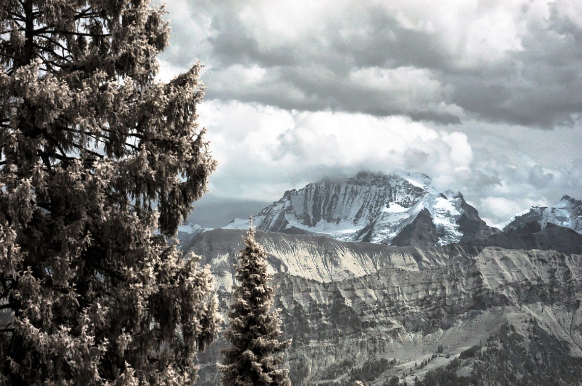 DSC_0140_dxo_korr.jpg - (C)Copyright Photo Richard de Stoutz