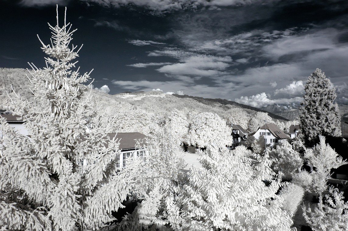 DSC_0154_dxo_korr.jpg - (C)Copyright Photo Richard de Stoutz