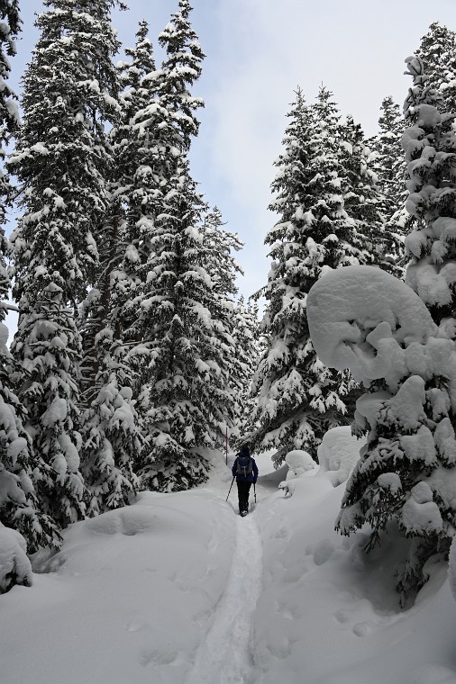 2019-01-10_13-10-42_DSC_0344_DxO.jpg - Bivio am 10.01.2019
