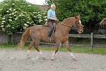 087_ASC_0034_dxo