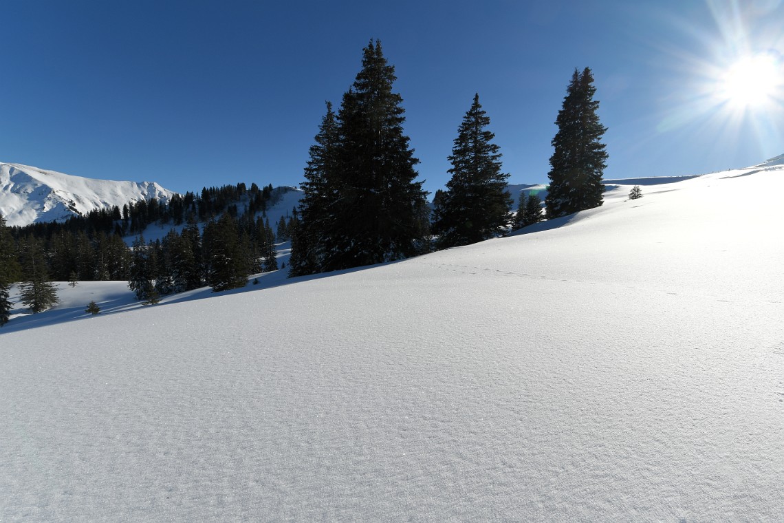 2017-01-21_14-39-12_DSE_1556_DxO_korr.jpg