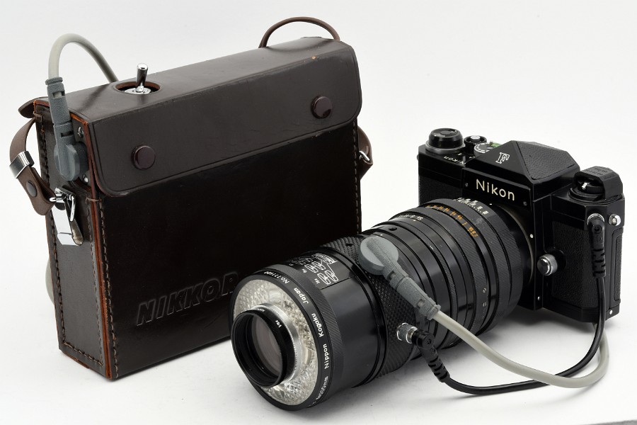 Copyright © Richard de Stoutz 2021.