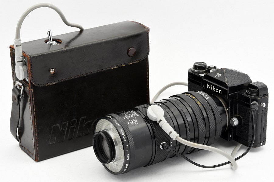 Copyright © Richard de Stoutz 2021.