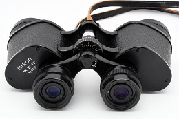 Copyright © Richard de Stoutz 2020.