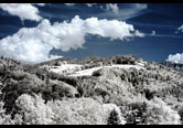 Copyright &copy; Richard de Stoutz 2011.